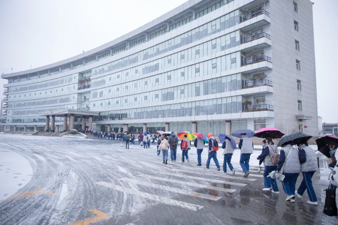 雪落成詩